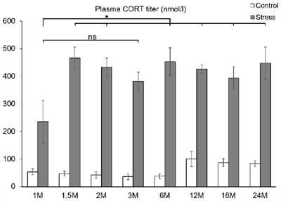 Both Basal and Acute Restraint Stress-Induced c-Fos Expression Is Influenced by Age in the Extended Amygdala and Brainstem Stress Centers in Male Rats